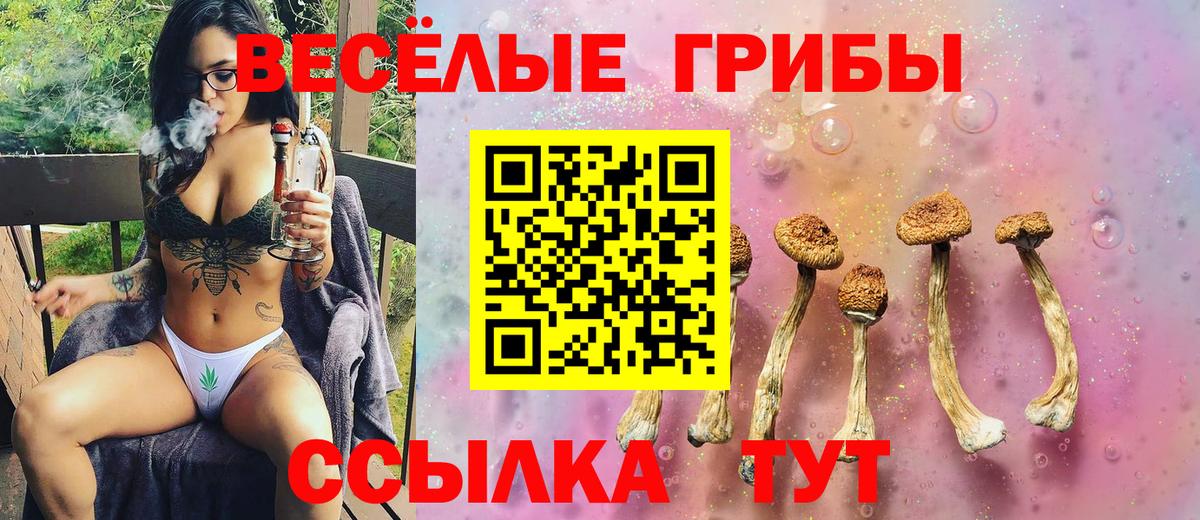 Галлюциногенные грибы MAGIC MUSHROOMS  Вход с VPN  Сыктывкар 
