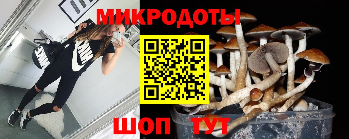 Псилоцибиновые грибы Cubensis Сыктывкар